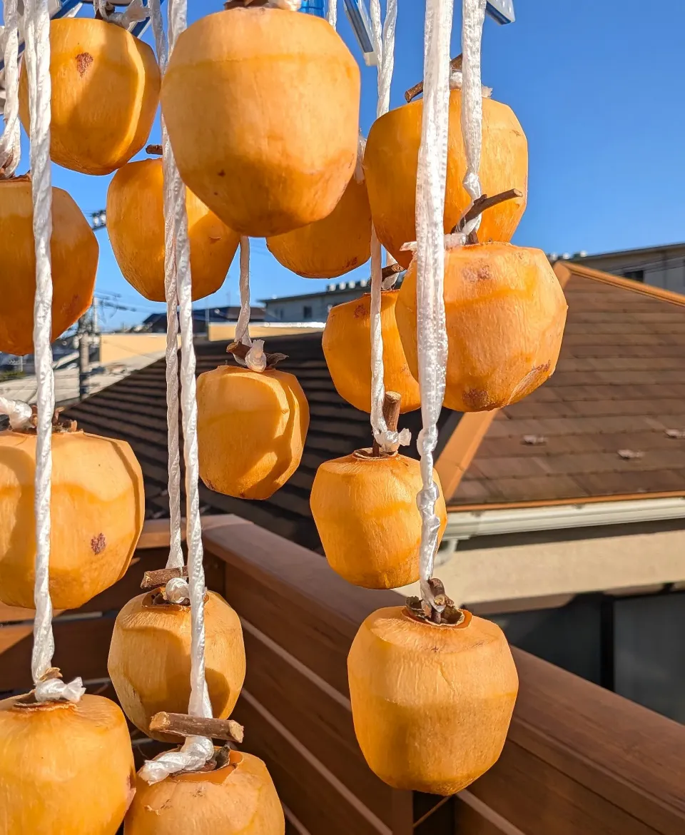 今年も 干し柿作り|とだともさん