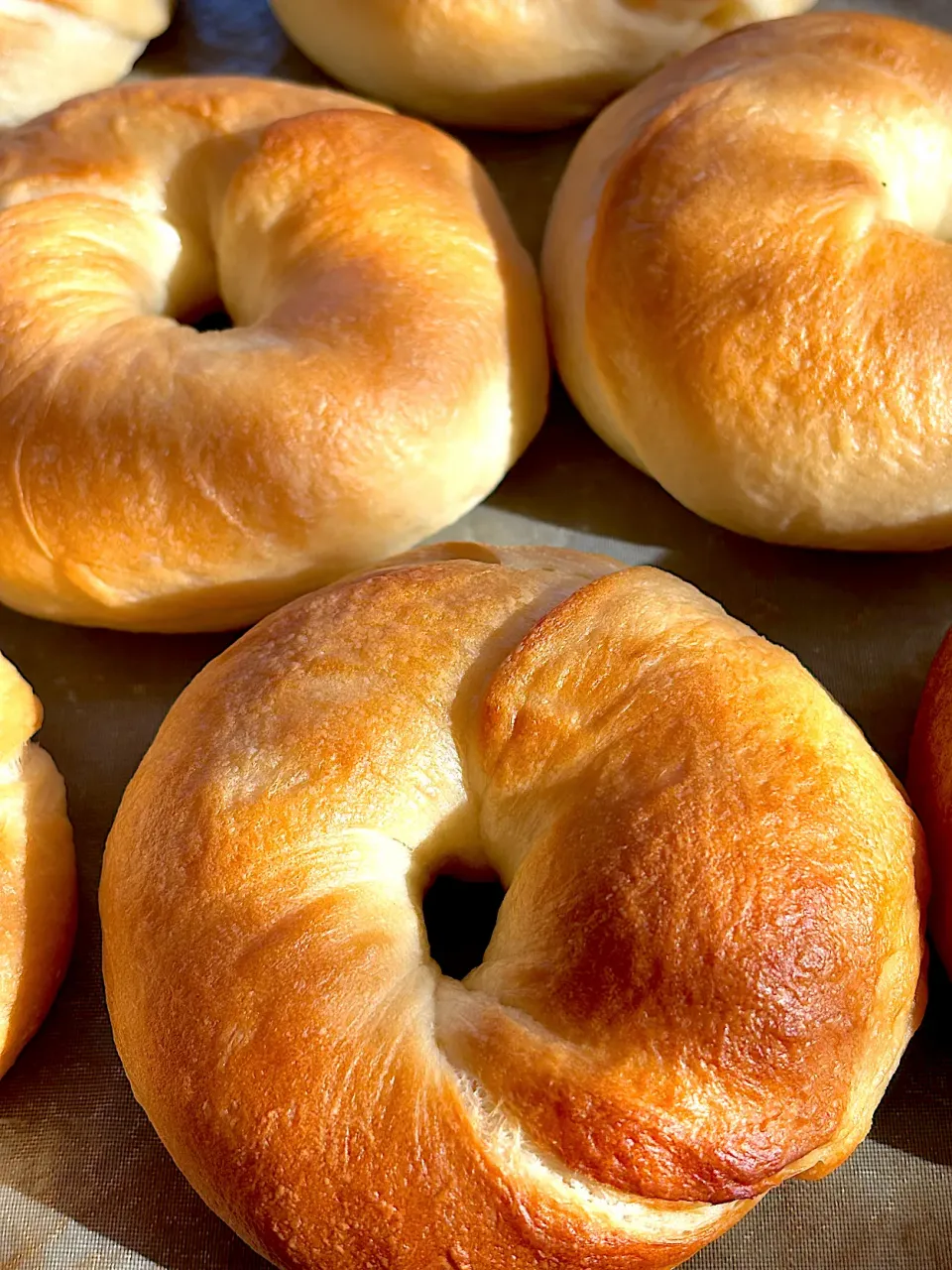 ベーグル🥯|クーミンさん