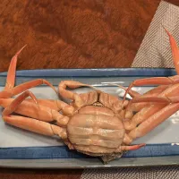 今日はコレ❣️🦀|Yoshihiro  Hamasakiさん