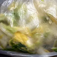 白菜の浅漬け|獨樂さん