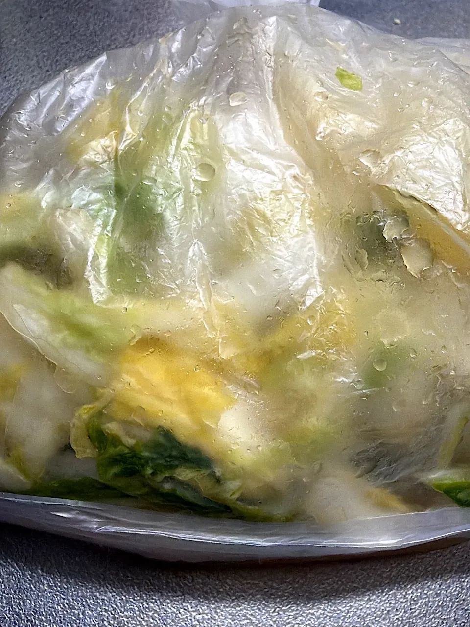 白菜の浅漬け|獨樂さん