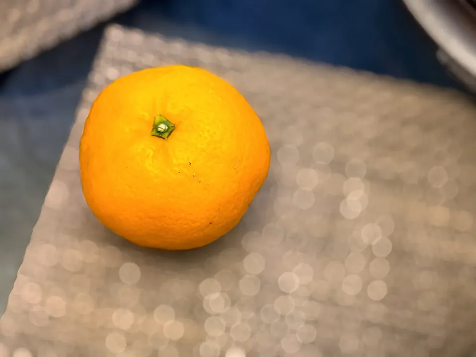 食後は愛媛の吉田町の甘いみかん🍊|yokoさん