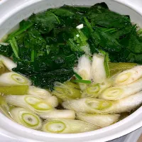 ネギとほうれん草の鍋|たけさん