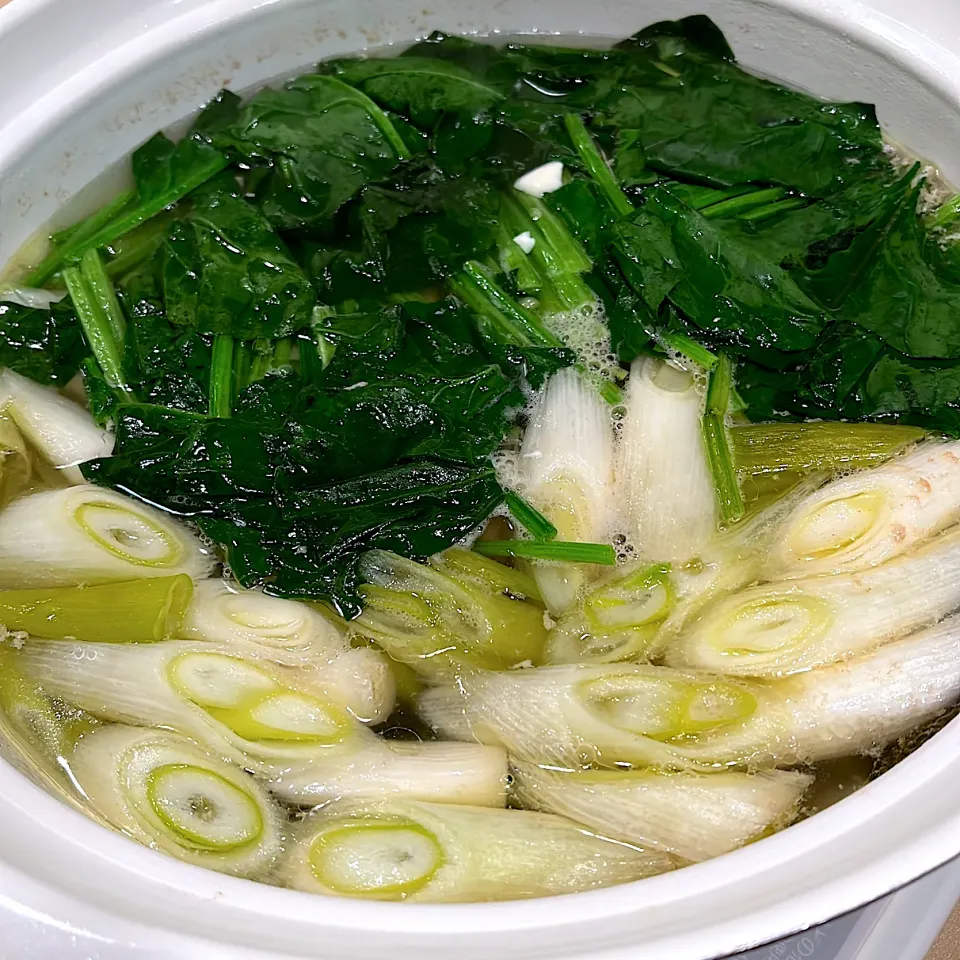 ネギとほうれん草の鍋|たけさん