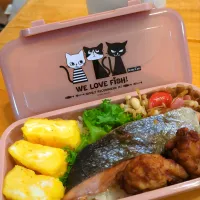 どど～んと焼き鮭| さやかさん