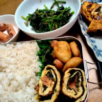 明太のりまき玉子弁当|さおりさん