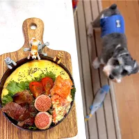 スペアリブオムレツ弁当| cafe3733さん