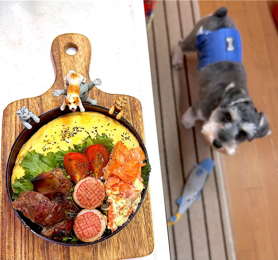 スペアリブオムレツ弁当|cafe3733さん