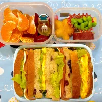 昨日焼いたレーズンパンでサンドイッチお弁当🌟　#お弁当|みなみさん