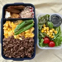 大好きな牛豚合挽そぼろ弁当| ヒグッチさん