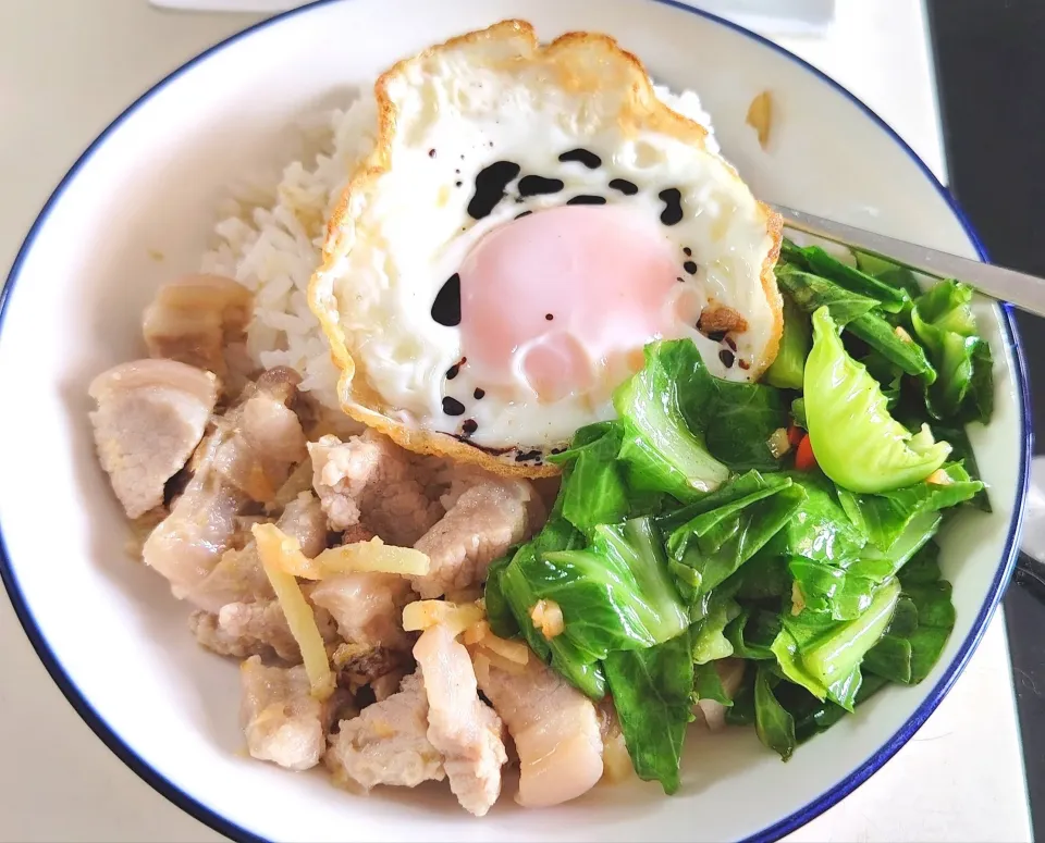 Today's lunch spicy baby kailan, salted fish stew pork belly fried egg with rice 😍🍚😋🍳🐽🐟🌿|🍒lynnlicious🍒さん