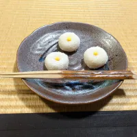 光琳菊|まゆみさん