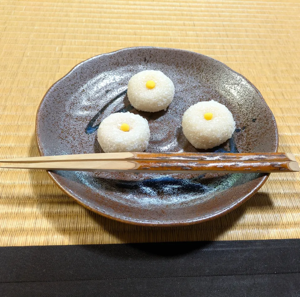 光琳菊|まゆみさん