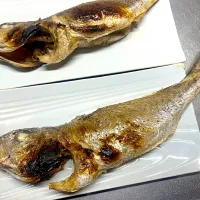 釣りイシモチのハーブ塩焼き|ゆきさん