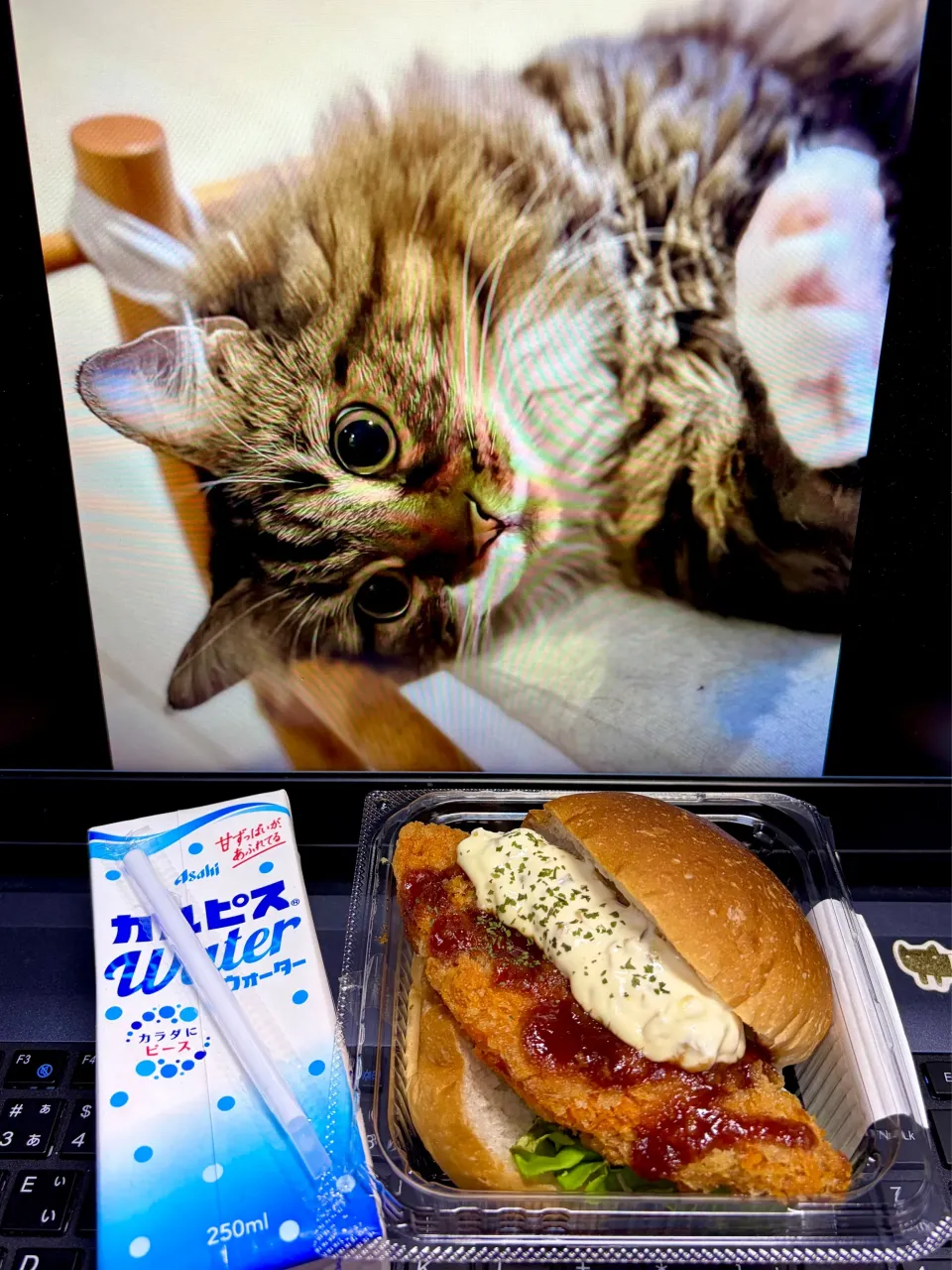 おひるごはん|にゃあ（芸名）さん