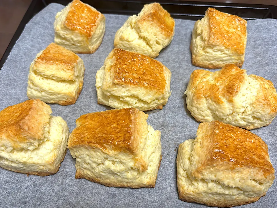 プレーンスコーン|とらさん