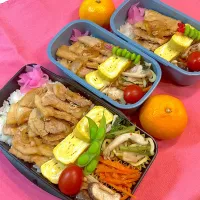 しょうが焼き弁当|R☆Mさん