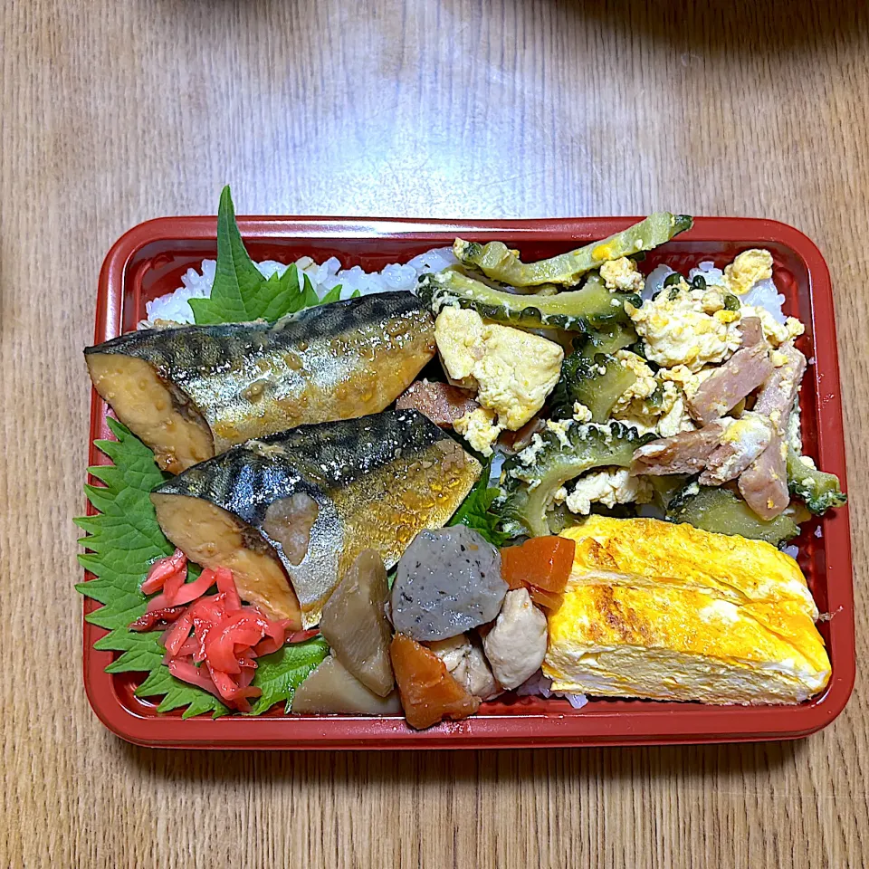 ゴーヤー鯖味噌煮弁当|望さん