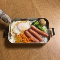 | おべんとさん