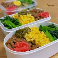 弁当|パパ氏さん