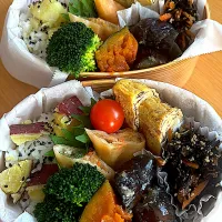 春巻きとさつまいもごはん弁当|hiro♪kouさん