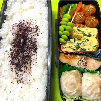 高２息子お弁当🌈11/28(金)塩サバ入り🐟|KCo🌈さん
