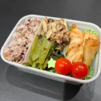 11/28 自分弁当| ゆさん
