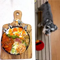 カチャトーラ弁当|cafe3733さん