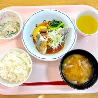 鰆のおろし煮、白和え、味噌汁(キャベツ、玉ねぎ)| syasyo9_biyoriさん