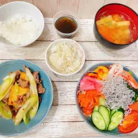 ひき肉と厚揚げとネギのすき焼き風|chou  chouさん