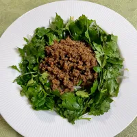 パクチーともやしの肉味噌サラダ|ako_s_plateさん