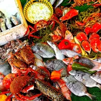 モロッコ🇲🇦エッサウィラ|michiさん