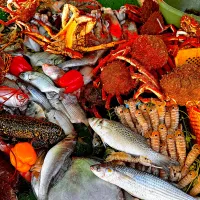 モロッコ🇲🇦エッサウィラ|michiさん