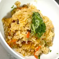 鶏五目炊き込みご飯|ぺいちゃんさん