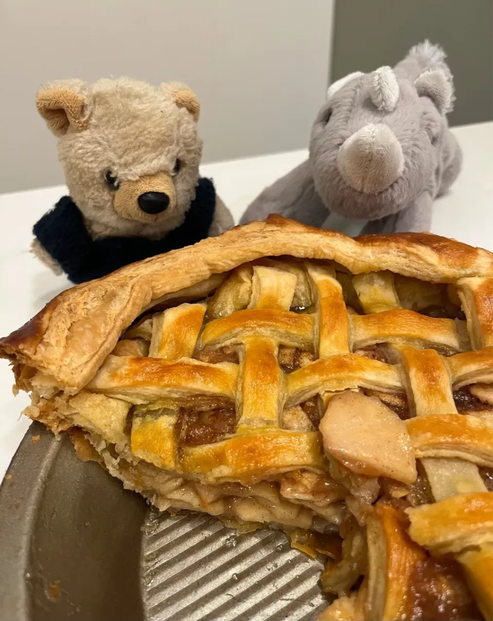 2025/11/27   アップルパイ（りんごの使い途を求めてPart 8 砂糖使用） Apple Pie|21 Boys & 野鳥さん