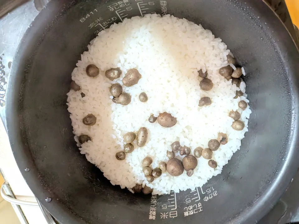 11/29の朝ごはん　むかごご飯|卯月さん