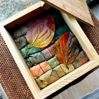 柿の葉寿司✴︎