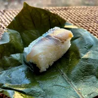 柿の葉寿司✴︎|あやみんさん