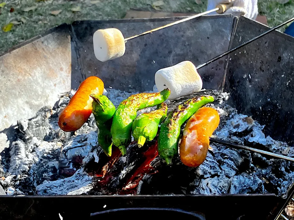 ＊炭火で串焼き🍖コッコマッカラ＊|＊抹茶＊さん