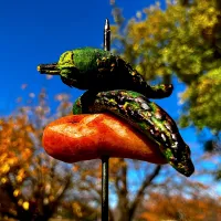 ＊青空と紅葉とコッコマッカラ🍁＊