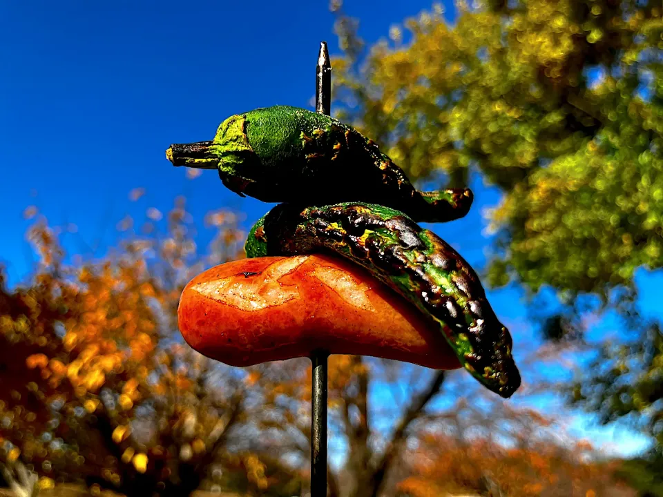 ＊青空と紅葉とコッコマッカラ🍁＊|＊抹茶＊さん