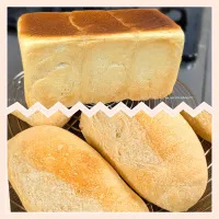 本日のパン屋さん