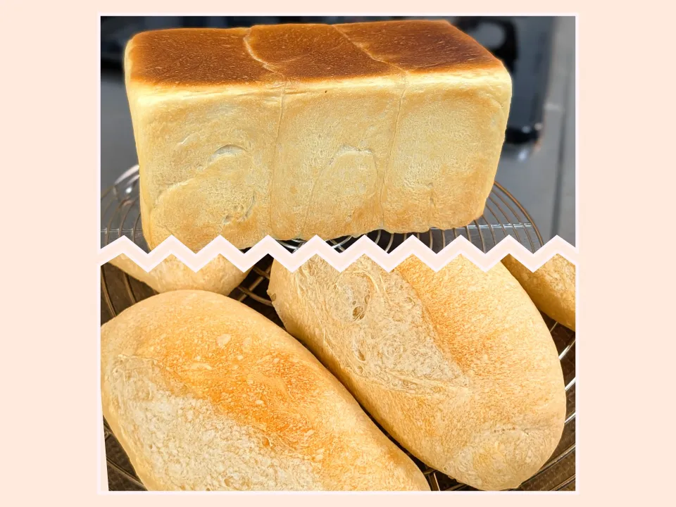 本日のパン屋さん|f.1125beさん