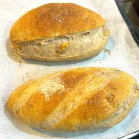 #クルミのカンパーニュ|トリさん