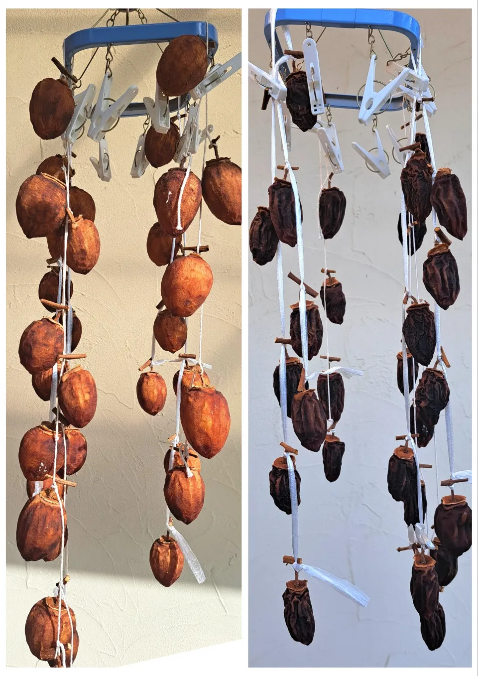 干し柿(経過)|m aさん