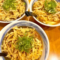 カレーごぼう天うどん|＊みお＊さん