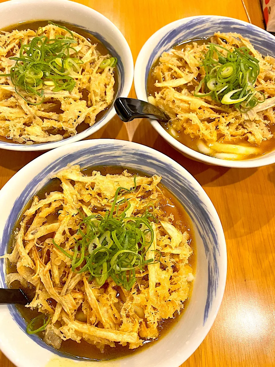 カレーごぼう天うどん|＊みお＊さん