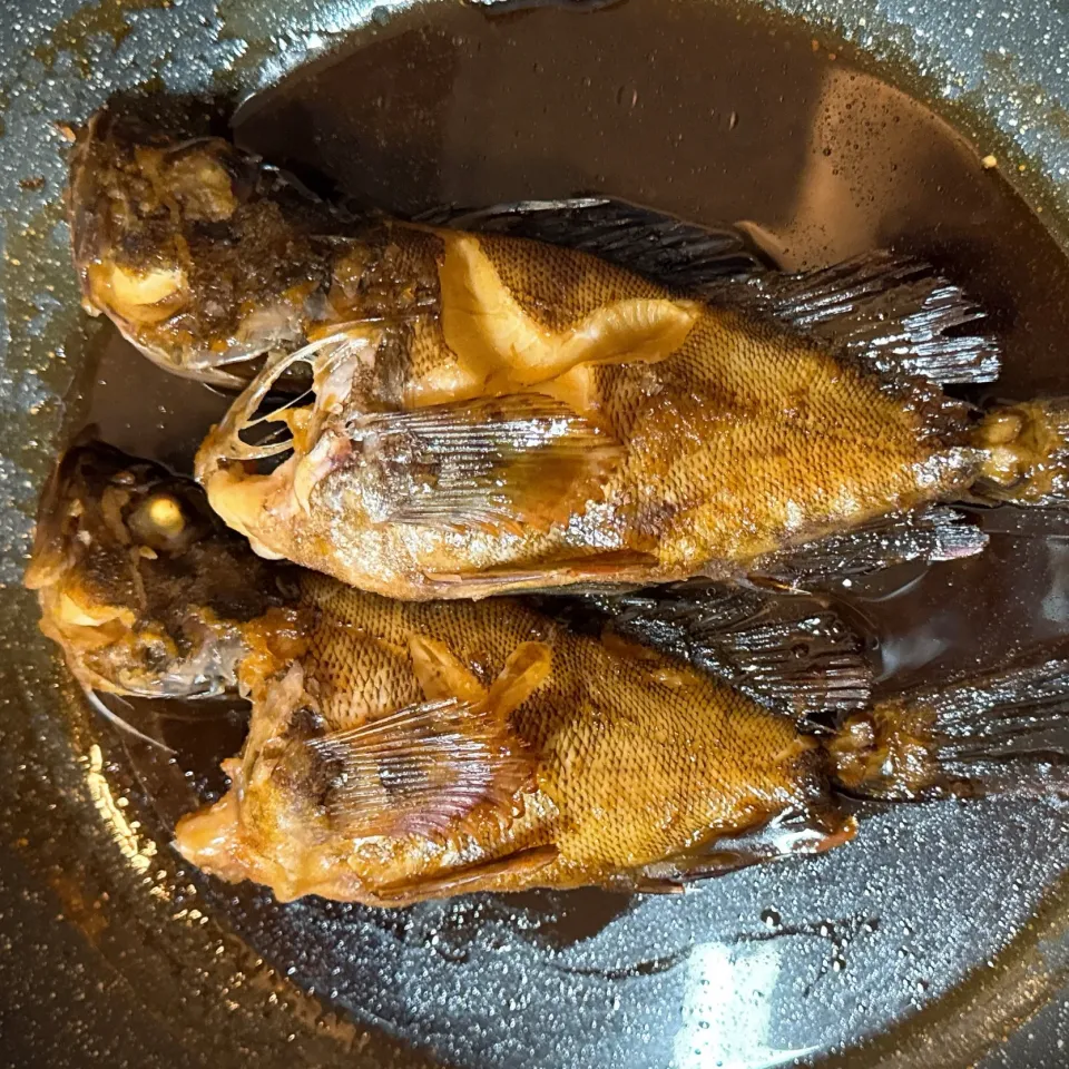 ガシラの煮付け|かりんとうのヒゲさん