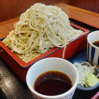 中もり|kamekameさん