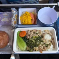 チャイナエアラインの機内食　帰りの便で鶏肉飯食べれて嬉しかったです。|Tenさん